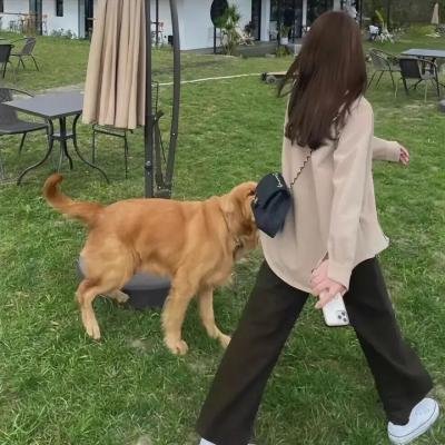 女子高中生